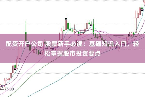 配资开户公司 股票新手必读：基础知识入门，轻松掌握股市投资要点