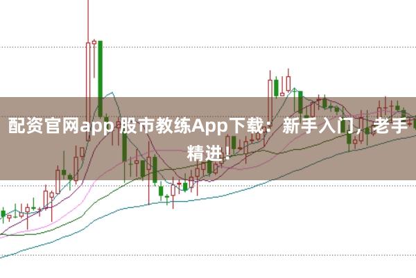 配资官网app 股市教练App下载：新手入门，老手精进！