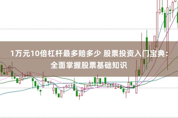 1万元10倍杠杆最多赔多少 股票投资入门宝典：全面掌握股票基础知识