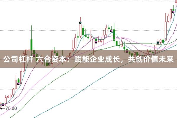 公司杠杆 六合资本：赋能企业成长，共创价值未来