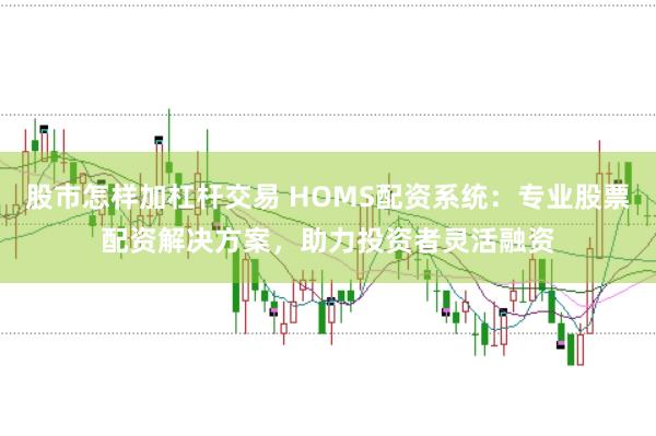 股市怎样加杠杆交易 HOMS配资系统：专业股票配资解决方案，助力投资者灵活融资