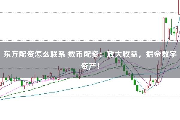 东方配资怎么联系 数币配资:放大收益,掘金数字资产!