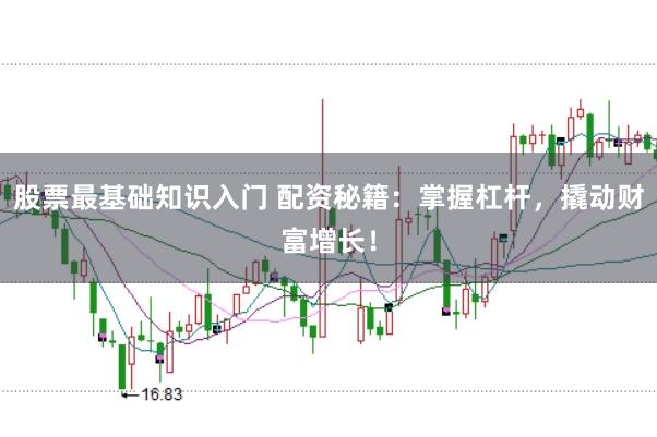 股票最基础知识入门 配资秘籍：掌握杠杆，撬动财富增长！