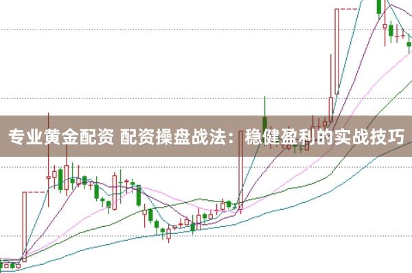 专业黄金配资 配资操盘战法：稳健盈利的实战技巧
