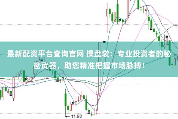 最新配资平台查询官网 操盘袋：专业投资者的秘密武器，助您精准把握市场脉搏！