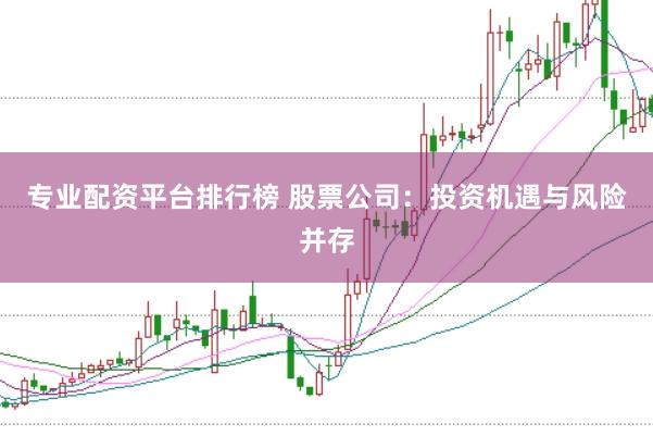 专业配资平台排行榜 股票公司：投资机遇与风险并存