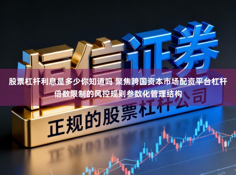 股票杠杆利息是多少你知道吗 聚焦跨国资本市场配资平台杠杆倍数限制的风控规则参数化管理结构