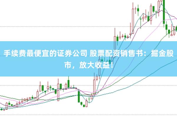 手续费最便宜的证券公司 股票配资销售书：掘金股市，放大收益！